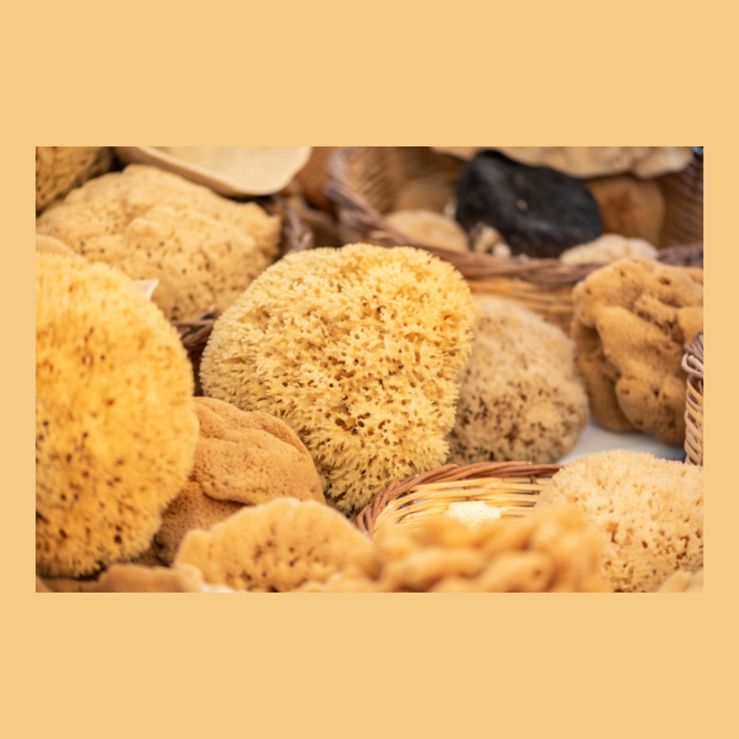 Spugna Naturale di Mare 16cm - Morbida per Corpo e Viso