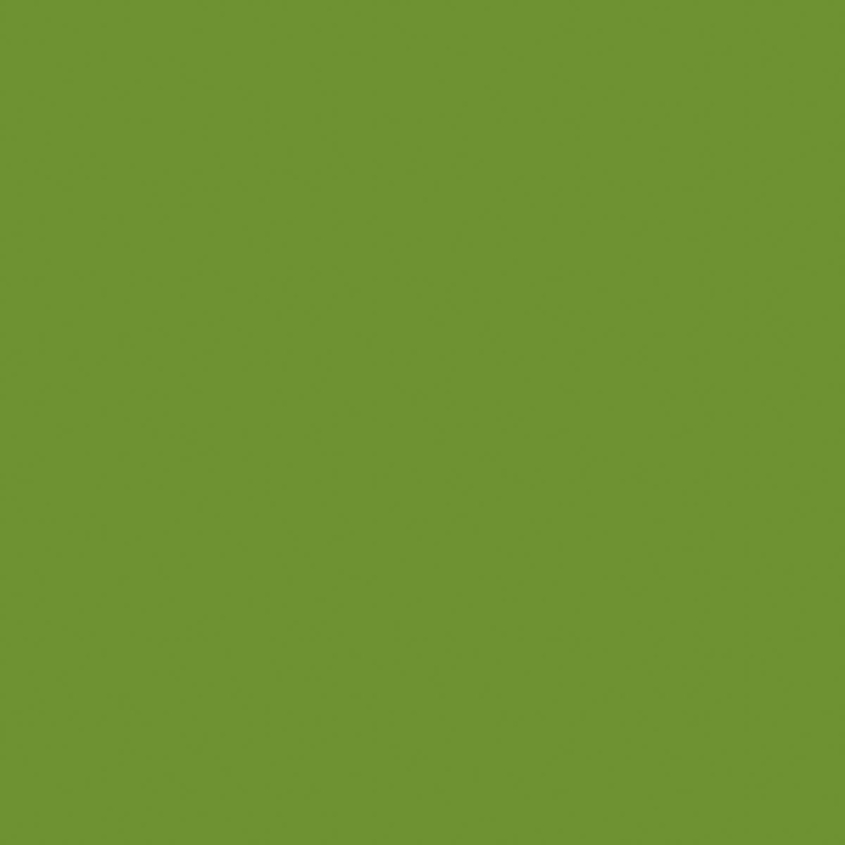 Tovagliolo cellulosa Bio 24 x 24 cm Verde Foglia 3 veli