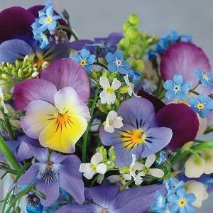 Tovagliolo fantasia 33 x 33 cm Violette e Non ti scordar di me 3 veli