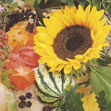 3-lagige Serviette mit Sonnenblumenmuster, 33 x 33 cm