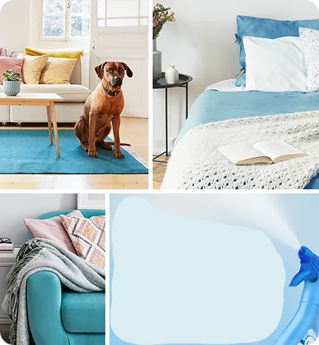 Febreze Elimina Odori