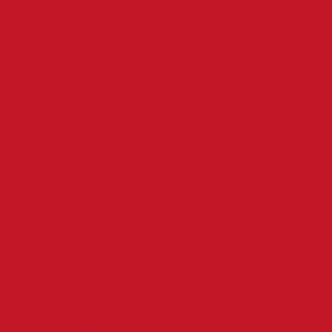 Bio-Zelluloseserviette 33 x 33 cm Rot 3-lagig