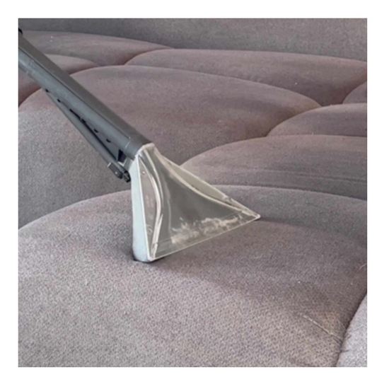 Hagerty 5* Shampoo Concentrate : pulitore per tappeti, moquette e tessuti d'arredo lavabili