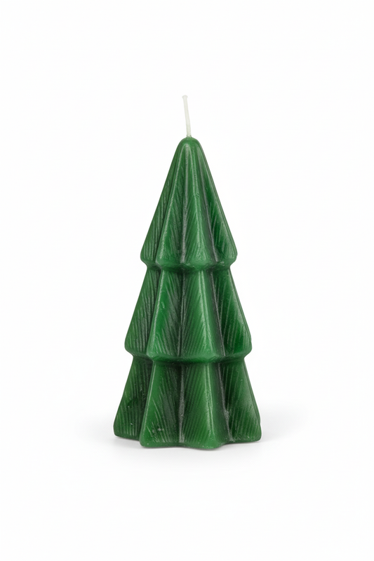 Candela Abete Verde Large Sfondo Bianco