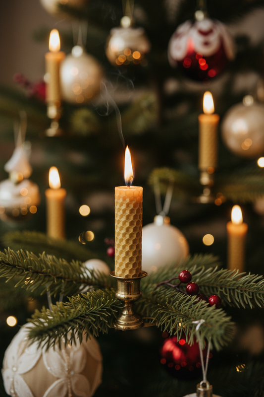 Candela cera d'api accesa su albero - tradizione natalizia