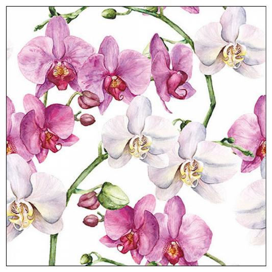 Tovagliolo fantasia 33 x 33 cm Orchidee eleganti 3 veli